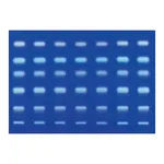 Merck TLC SILICA GEL 60 RP-2 F254 (SILANIZED)