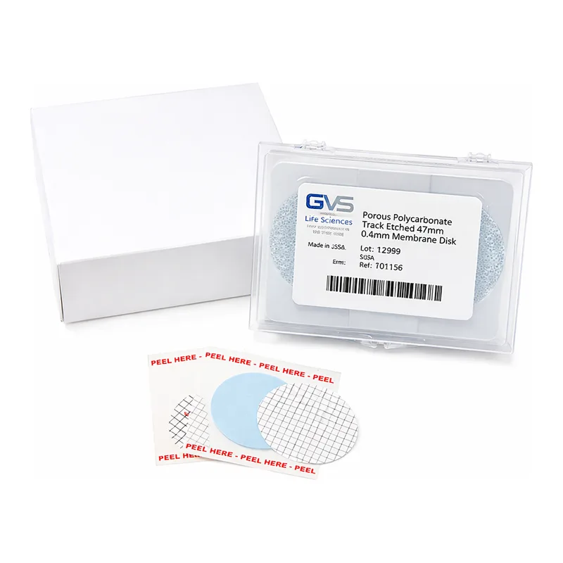 Polyvinylidene Fluoride (PVDF) Membrane Filter