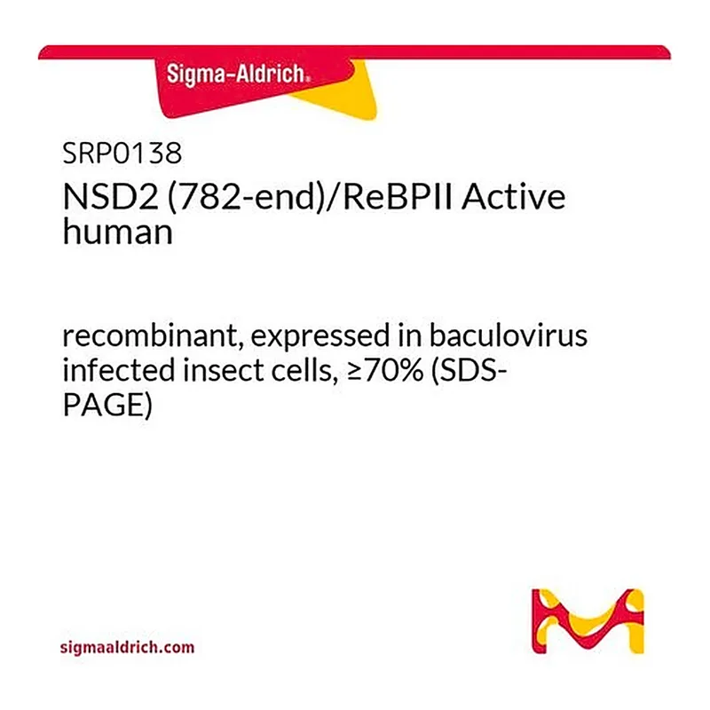 Merck NSD2 (782-end)/ReBPII Active human