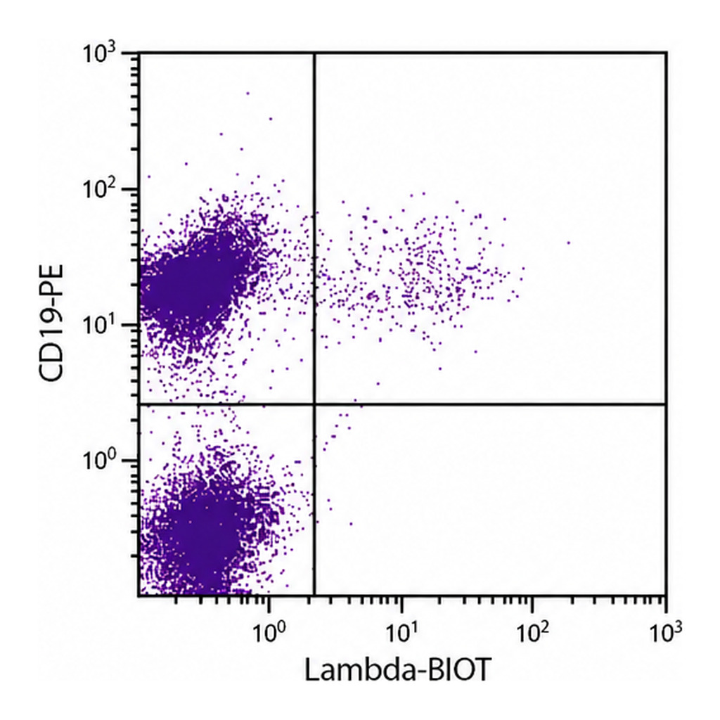 Thermo Fisher Scientific Rat anti-Mouse Lambda Light Chain Secondary Antibody, Biotin