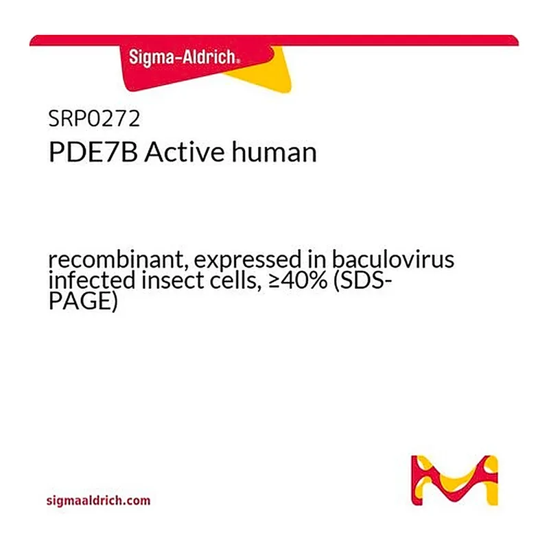 Merck PDE7B Active human