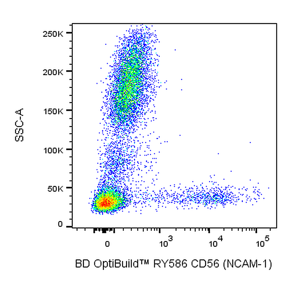 BD RY586 Mouse Anti-Human CD56