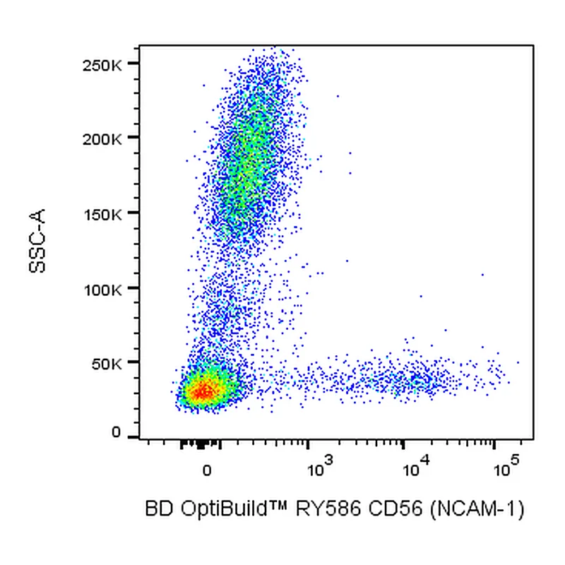 BD RY586 Mouse Anti-Human CD56