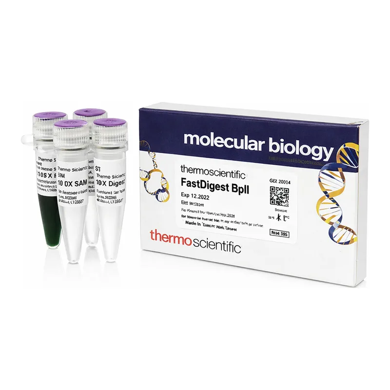 Thermo Fisher Scientific FastDigest BplI