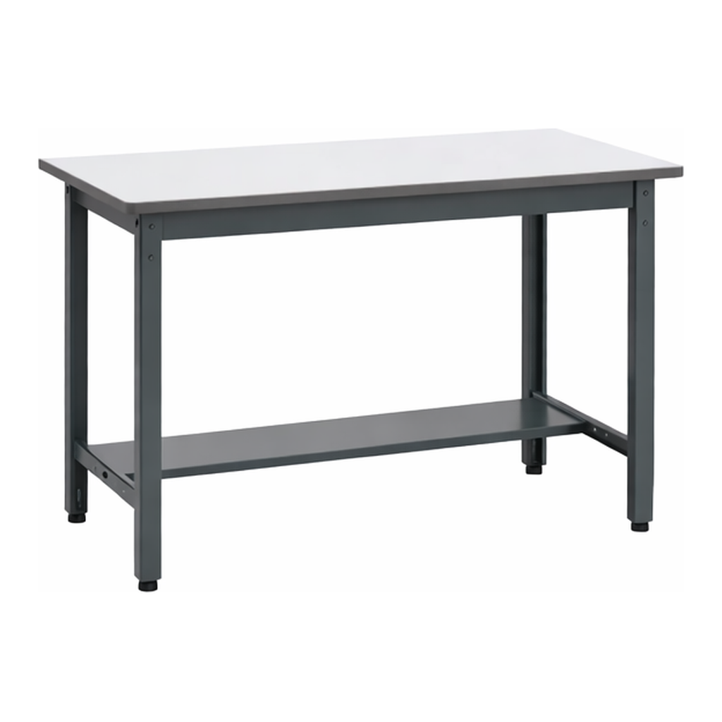 AS ONE Medium Duty Workbench 900 x 600 x 740mm
