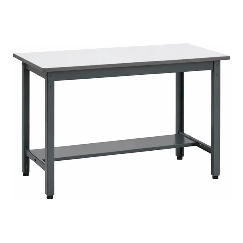 AS ONE Medium Duty Workbench 900 x 600 x 740mm