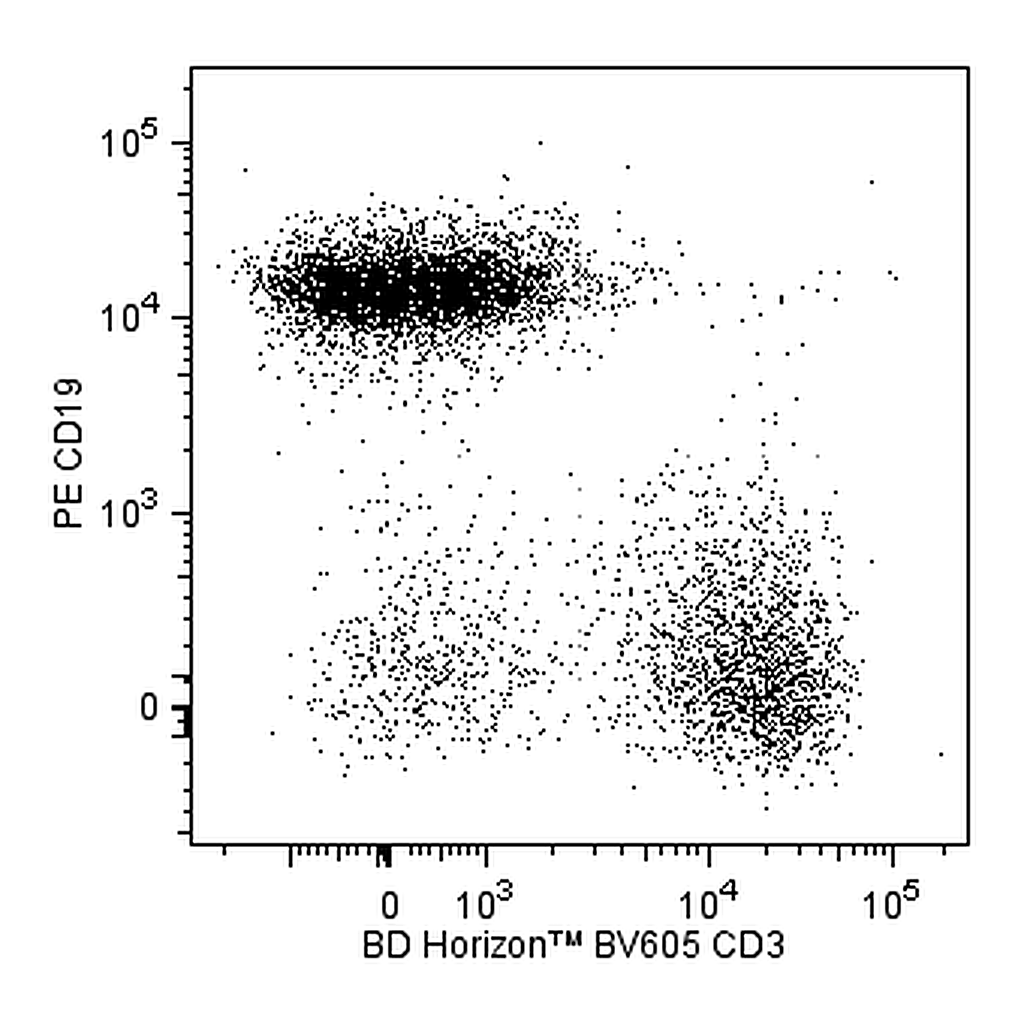 BD BV605 Rat Anti-Mouse CD3 Molecular Complex