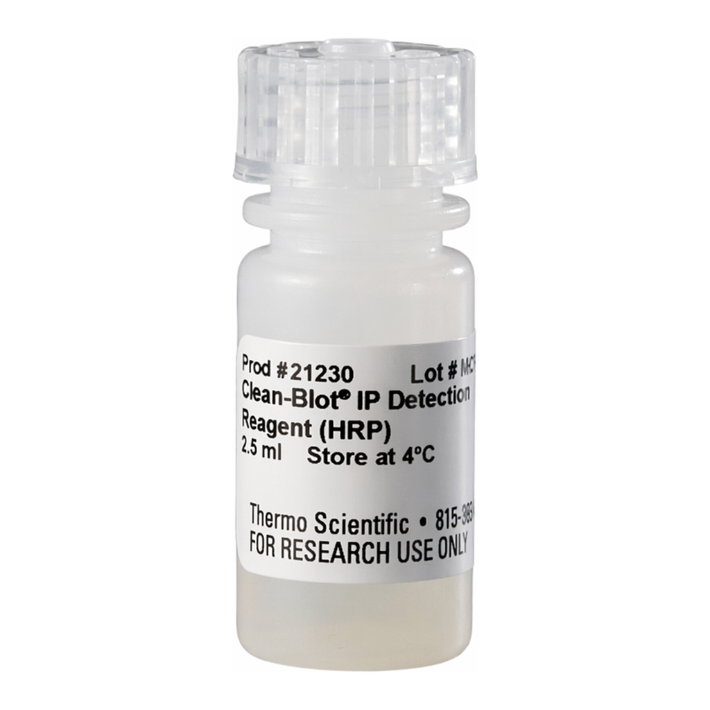 Thermo Fisher Scientific Clean-Blot IP Detection Reagent (HRP)