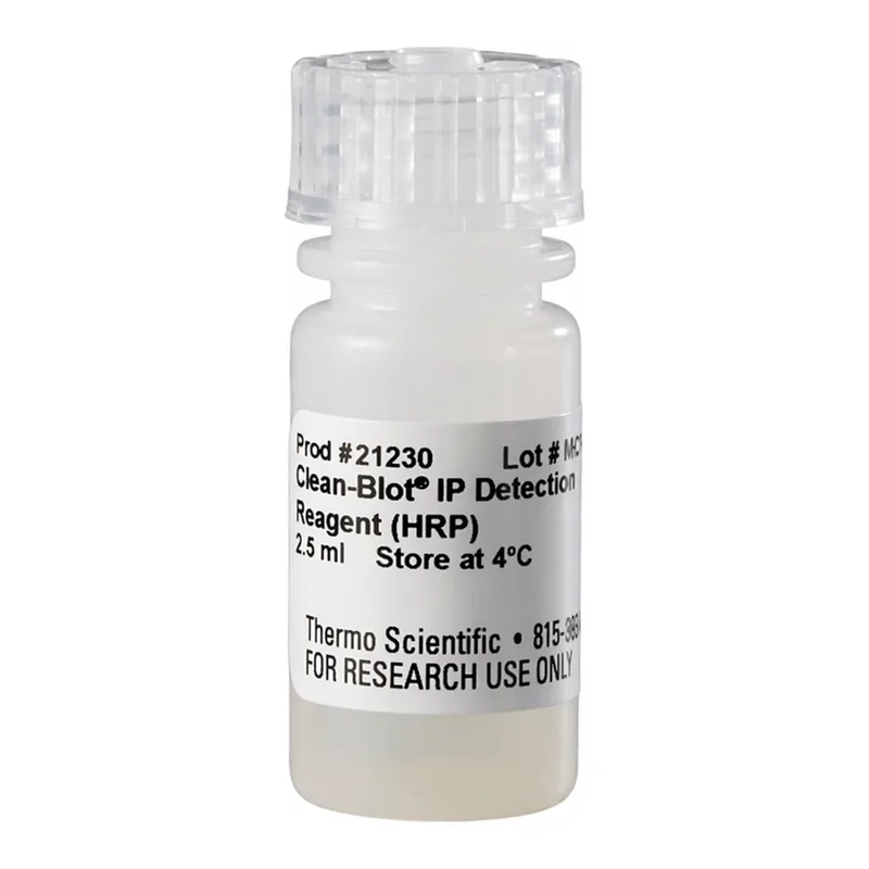 Thermo Fisher Scientific Clean-Blot IP Detection Reagent (HRP)