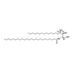 Merck N-24:0 PHYTOSPHINGOSINE