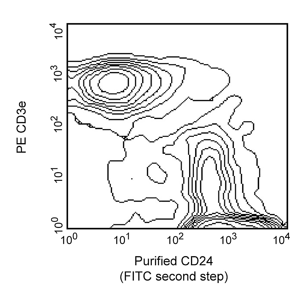 BD Purified Rat Anti-Mouse CD24