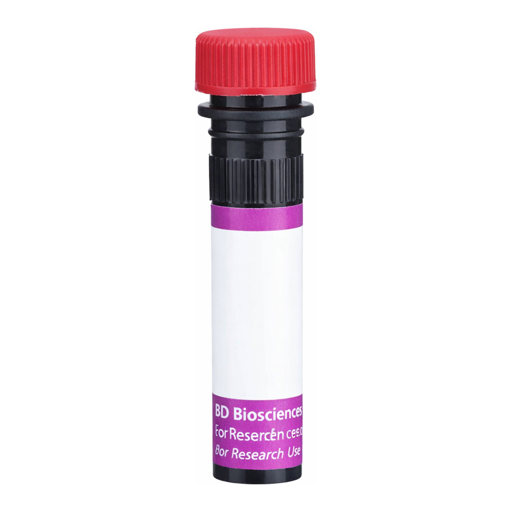 BD BV711 Mouse Anti-Rat IgG2b
