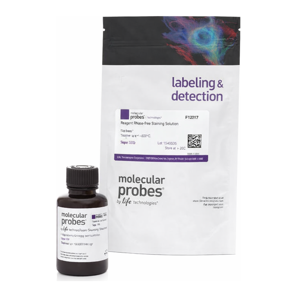 Thermo Fisher Scientific FxCycle PI/RNase Staining Solution
