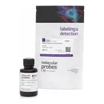 Thermo Fisher Scientific FxCycle PI/RNase Staining Solution