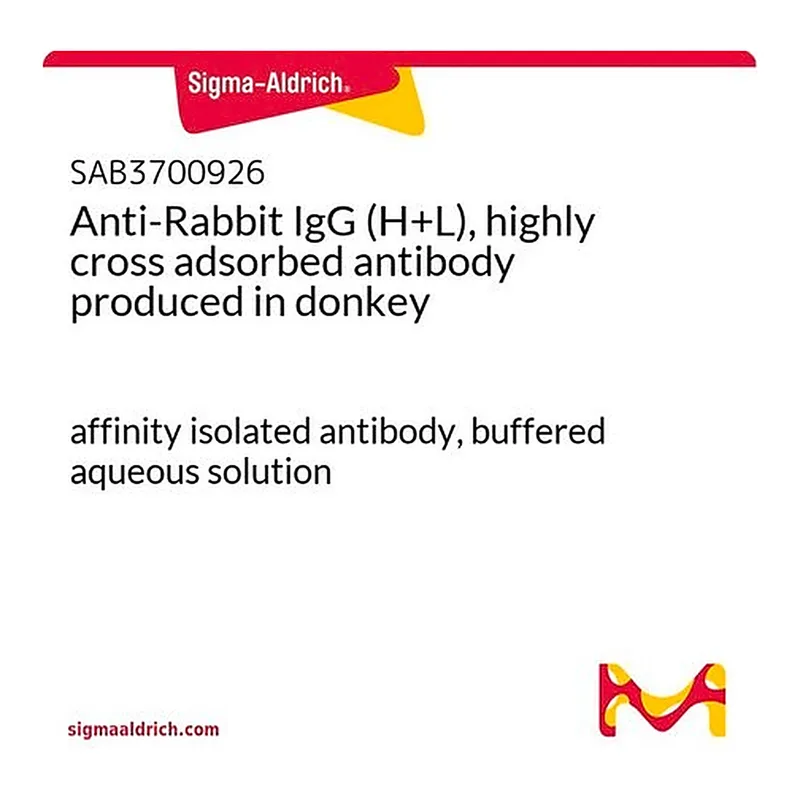 Merck Anti-Rabbit IgG (H+L), highly cross adsorbed antibody produced in donkey