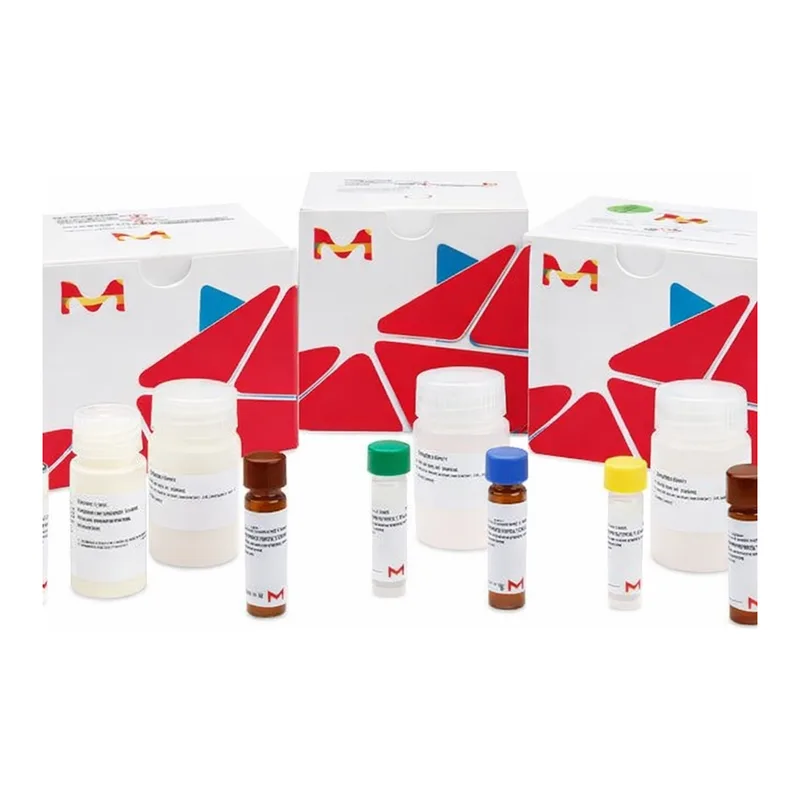 Merck FLUO-4 NO WASH CALCIUM ASSAY KIT
