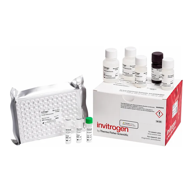 Thermo Fisher Scientific Mouse Estradiol Rapid ELISA Kit