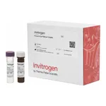 Thermo Fisher Scientific GFAP Human ProcartaPlex Simplex Kit