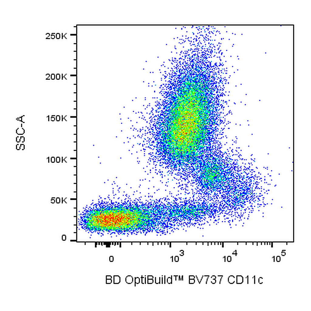 BD BUV737 Mouse Anti-Human CD11c