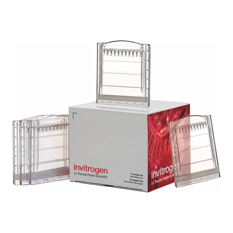 Thermo Fisher Scientific NativePAGE 4 to 16%, Bis-Tris, 1.0 mm, Mini Protein Gel, 10-well, 10 gels (1 box)