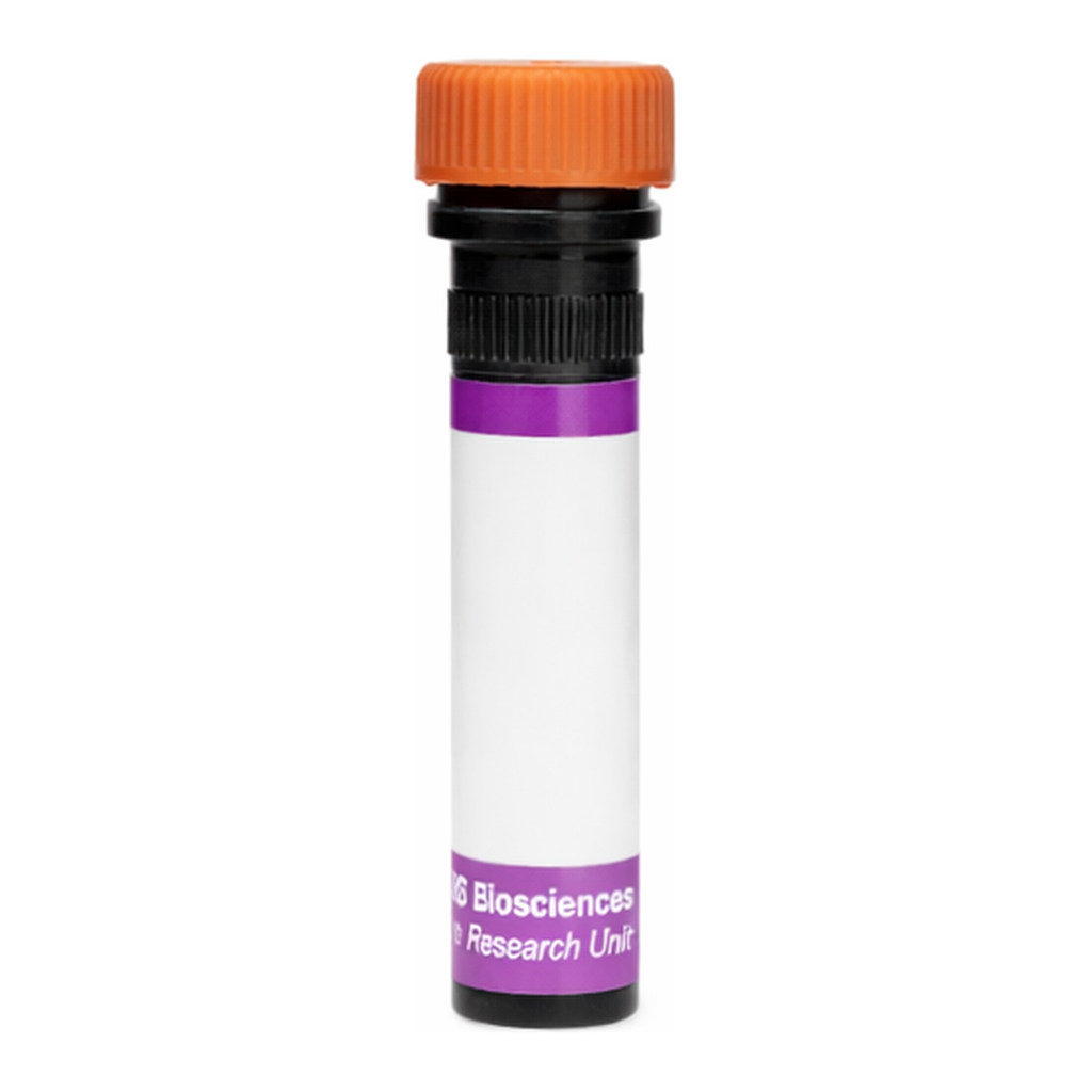 BD BV605 Mouse Anti-Human CD18 (Integrin β2)