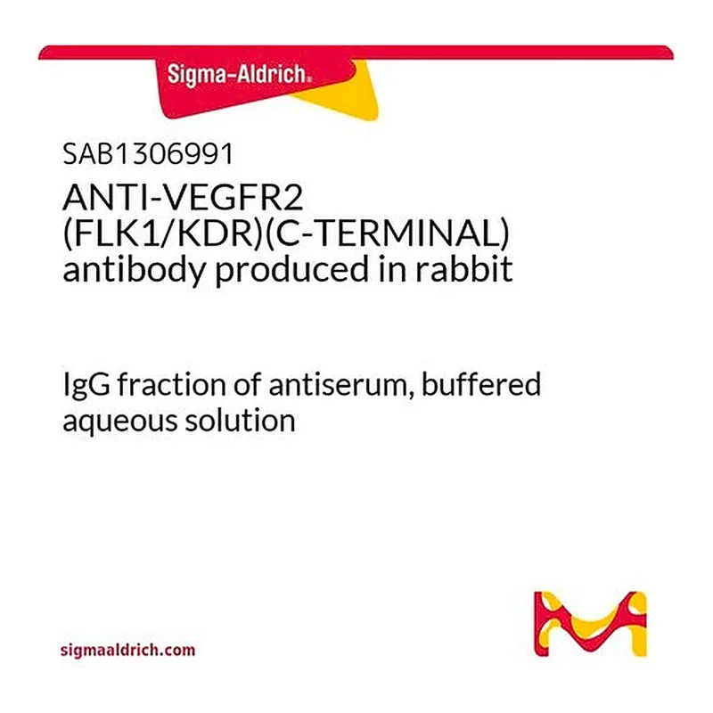 Merck ANTI-VEGFR2 (FLK1/KDR)(C-TERMINAL) antibody produced in rabbit
