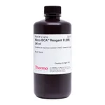 Thermo Fisher Scientific Micro BCA Reagent B (MB)