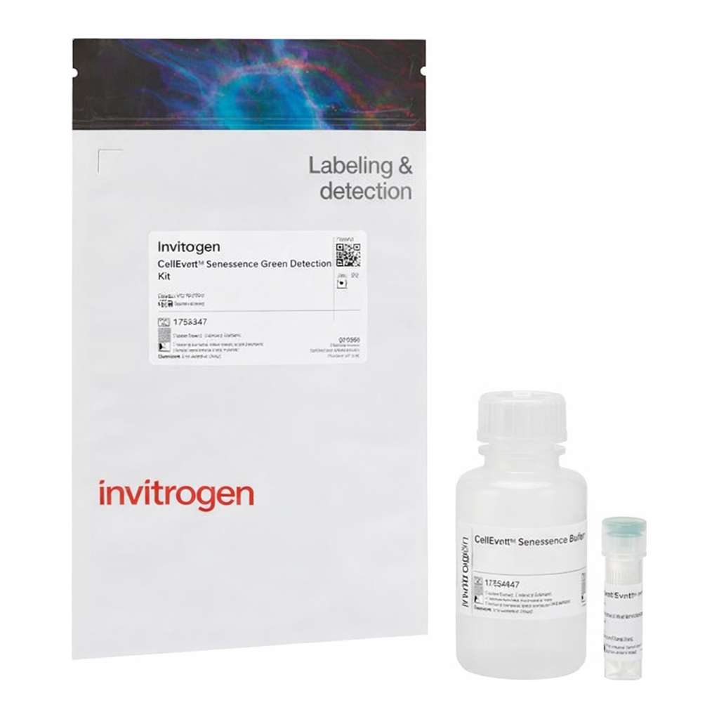 Thermo Fisher Scientific CellEvent Senescence Green Detection Kit, 25 &mu;L