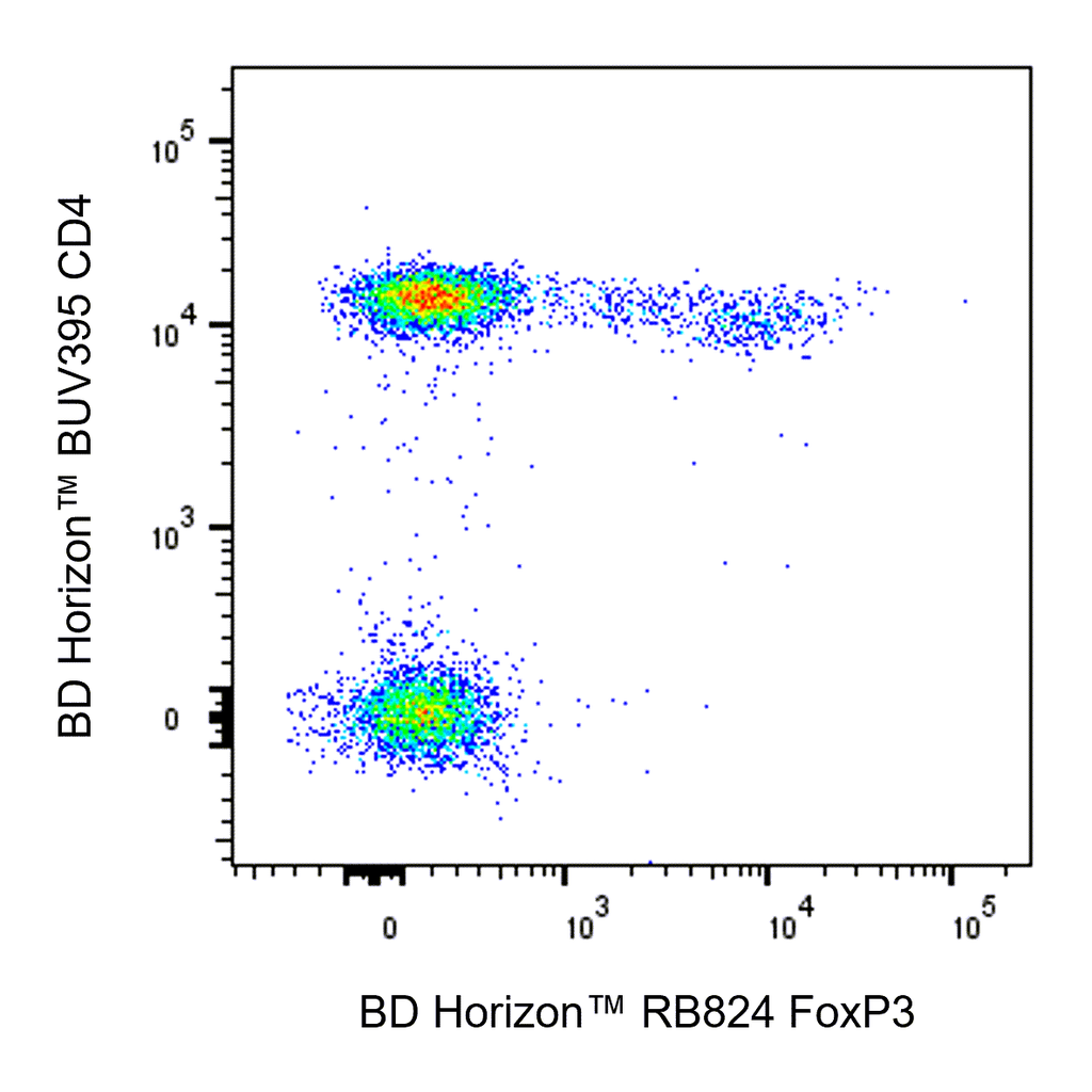 BD RB824 Mouse Anti-Human FoxP3