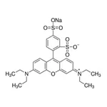 Merck SULFORHODAMINE B