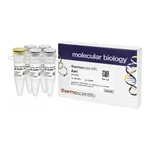 Thermo Fisher Scientific AarI (2 U/μL), 25 units