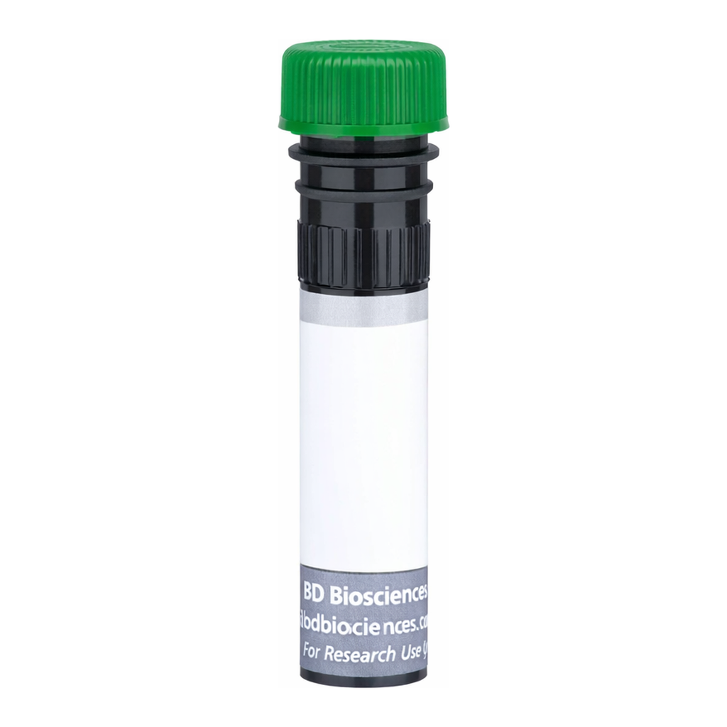 BD BUV563 Mouse Anti-Human P-glycoprotein (CD243)