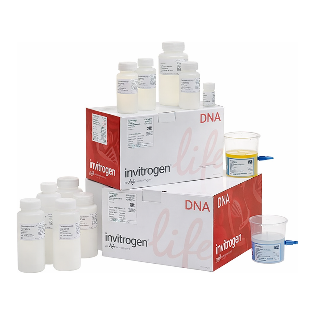 Thermo Fisher Scientific PureLink HiPure Expi Plasmid Megaprep Kit