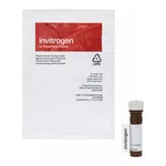 Thermo Fisher Scientific FAST DiI oil; DiIΔ<sup>9,12</sup>-C18(3), ClO4 (1,1`-Dilinoleyl-3,3,3`,3`-Tetramethylindocarbocyanine Perchlorate)