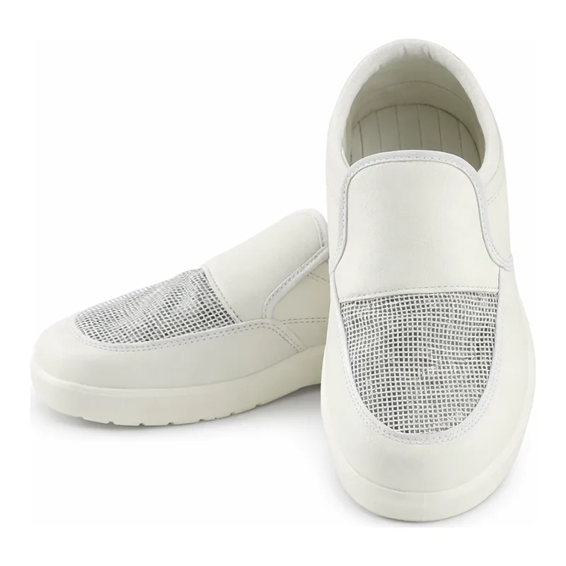 Daihan Science Apro Anti-static 100-class Clean Room Shoe & Boot, 정전방지 크린룸용 방진화 & 부츠