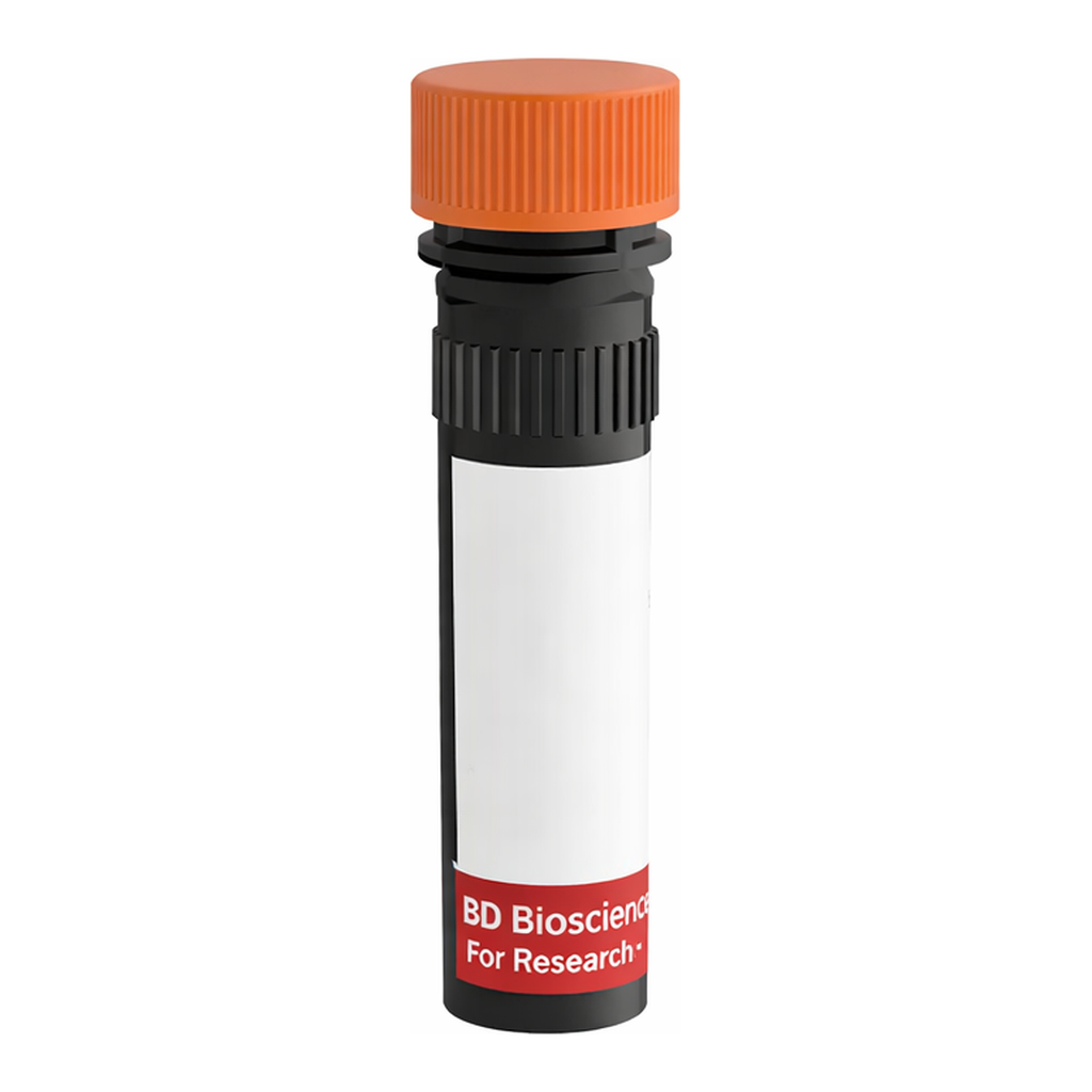 BD RR688 Rat Anti-Human Claudin-1