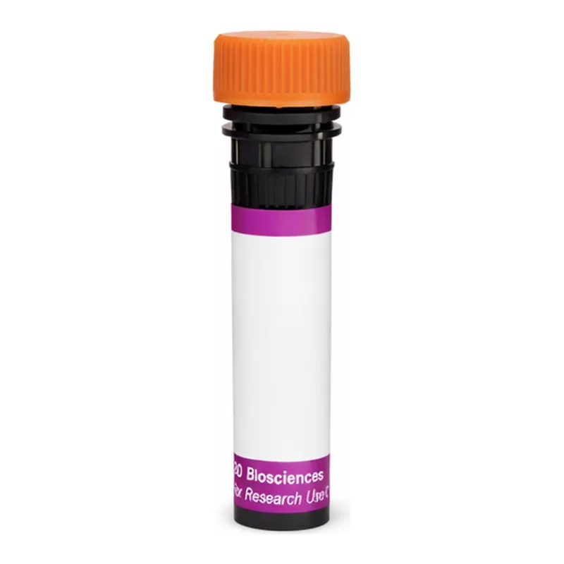 BD BV605 Hamster Anti-Mouse γδ T-Cell Receptor