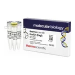 Thermo Fisher Scientific Eco52I (EagI) (10 U/μL), 500 units