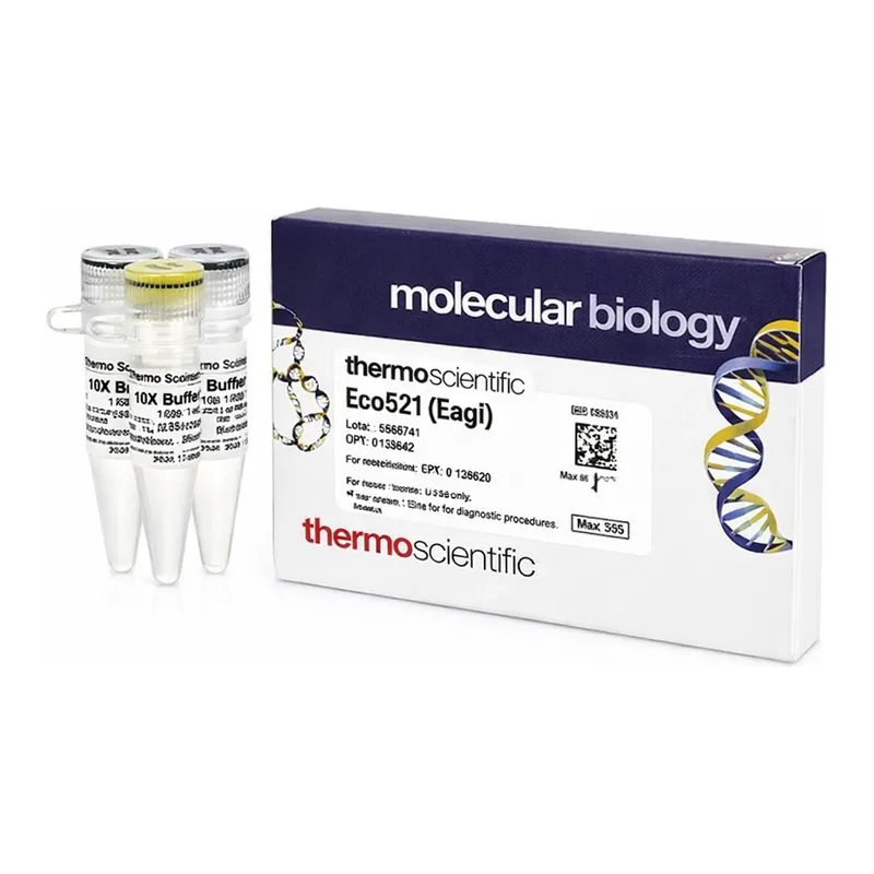 Thermo Fisher Scientific Eco52I (EagI) (10 U/μL), 500 units