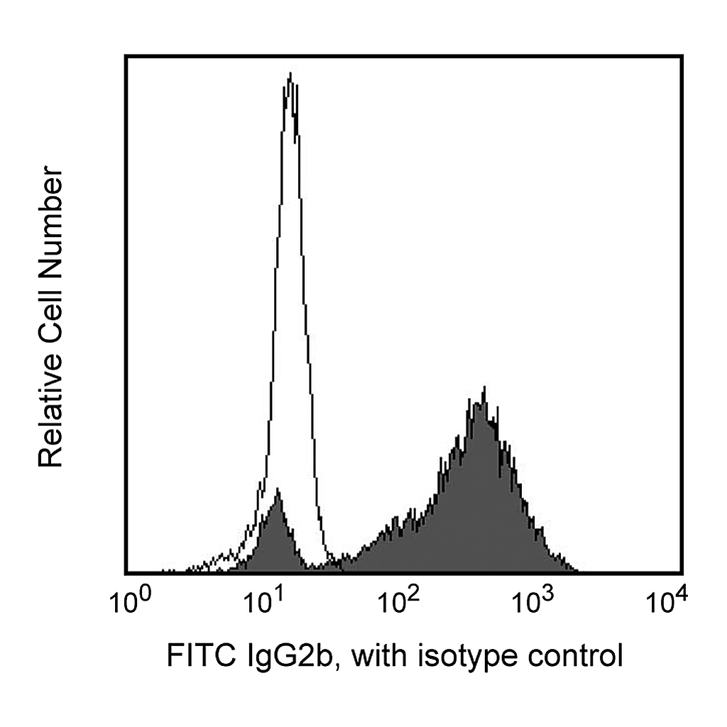BD FITC Mouse Anti-Rat IgG2b