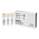 Thermo Fisher Scientific AmpliTaq Gold DNA Polymerase with Buffer II and MgCl2, 250 Units