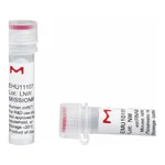 Merck MISSION(R) esiRNA