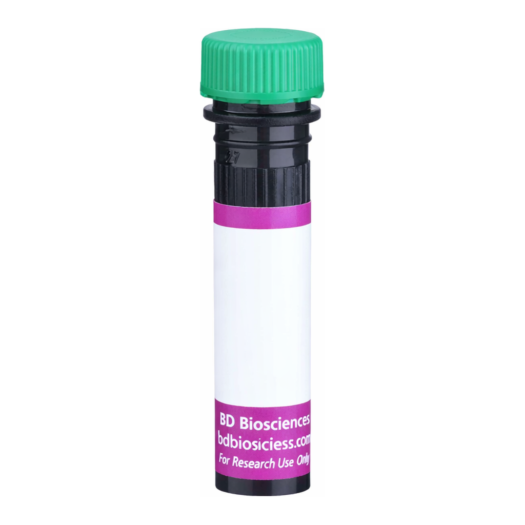 BD BV510 Rat Anti-Mouse Ig, κ light chain
