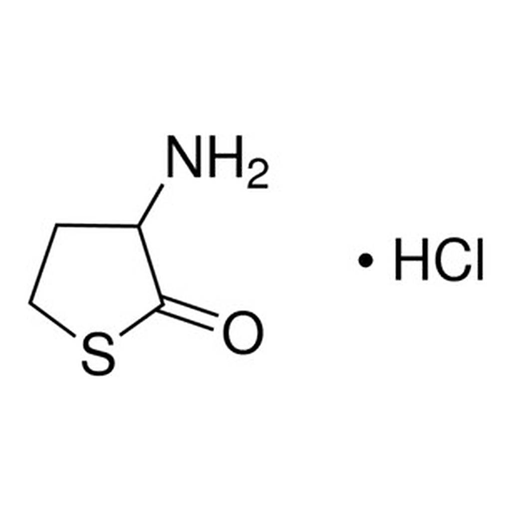 Merck DL-HOMOCYSTEINE THIOLACTONE HYDROCHLORI&