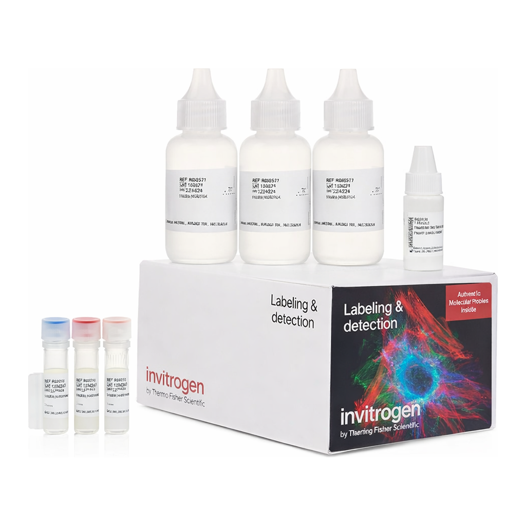 Thermo Fisher Scientific Alexa Fluor 647 Tyramide SuperBoost Kit, goat anti-mouse IgG