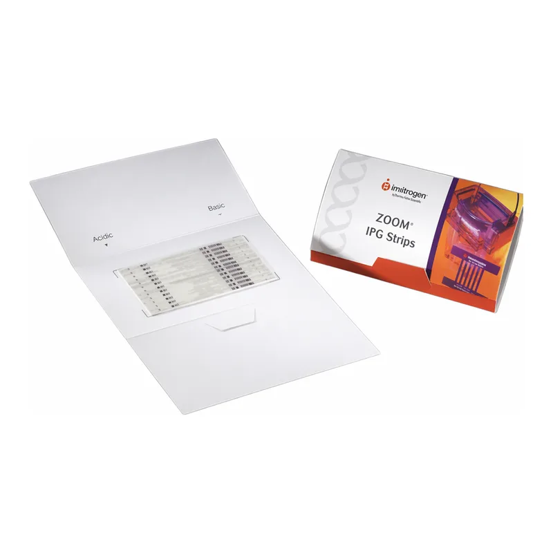 Thermo Fisher Scientific ZOOM IPG Strip pH 4-7