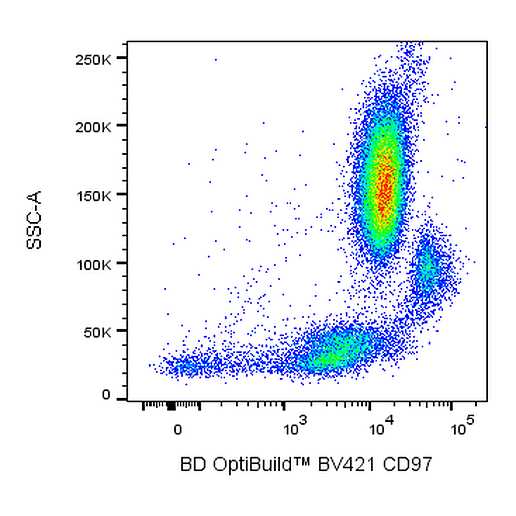 BD BV421 Mouse Anti-Human CD97
