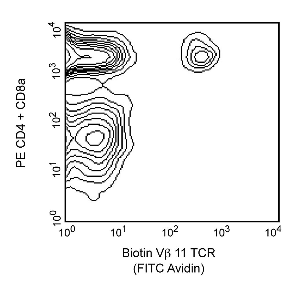 BD Biotin Rat Anti-Mouse Vβ 11 T-Cell Receptor