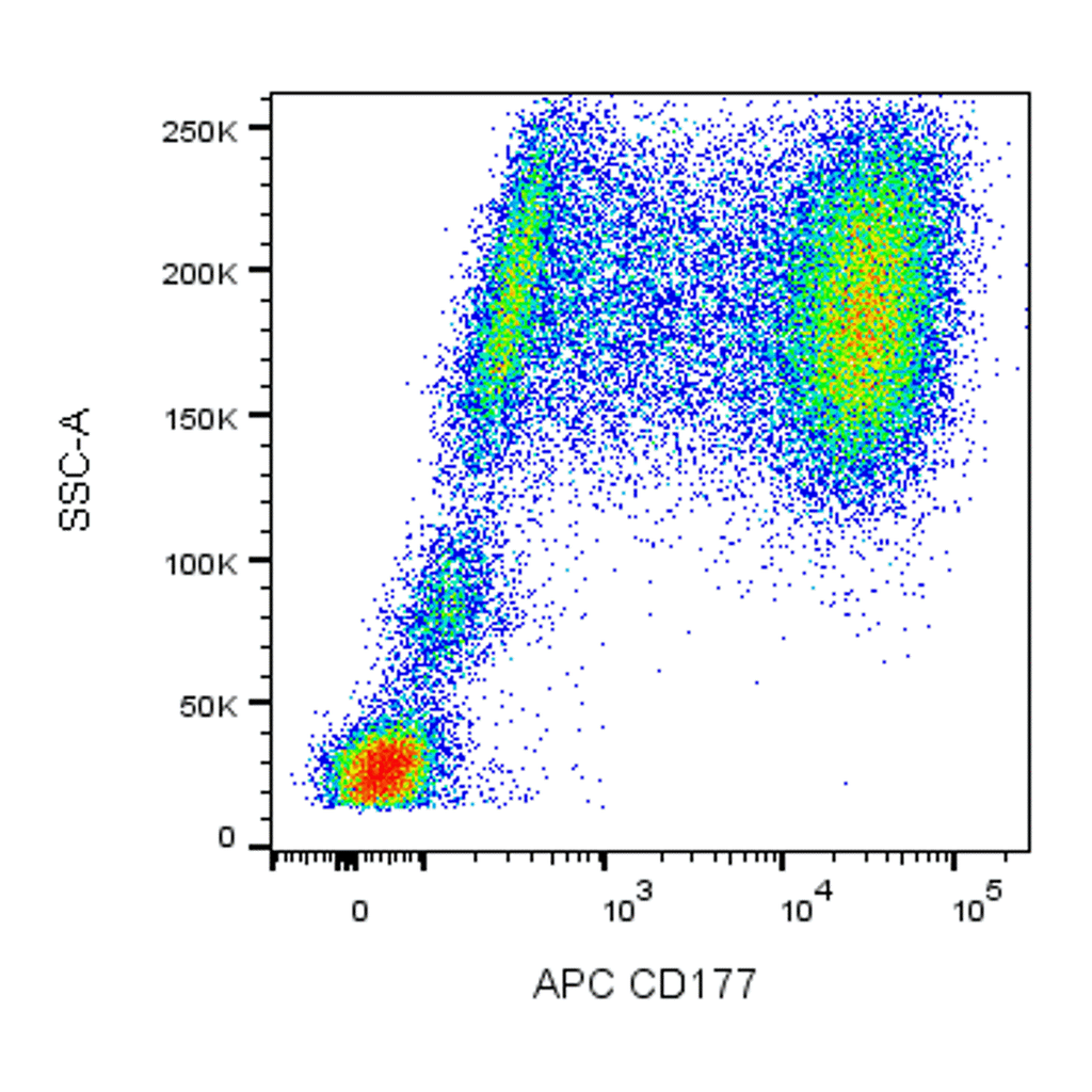 BD APC Mouse Anti-Human CD177