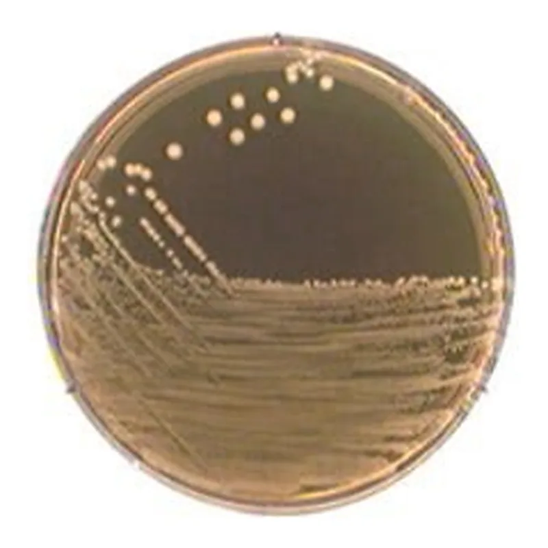 Merck M-17 AgarNutriSelect Basic